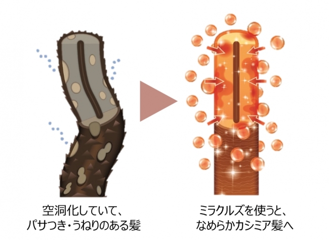 Pantene Miracles Milk Jelly diagram 