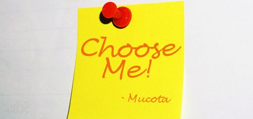 Which Mucota Adllura Aire Should I Choose?