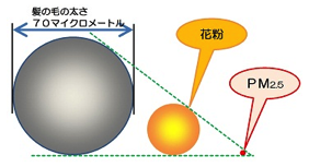 Top Japanese Air Purifiers: Go For PM2.5 Support!